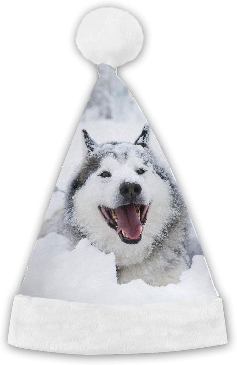 husky with santa hat