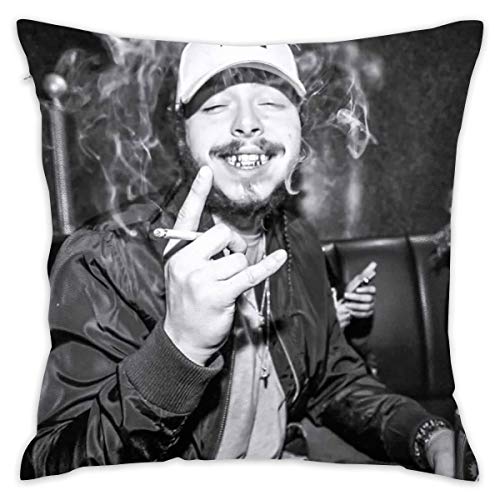 Larry C Adamson Post Malone Throw Pillow Case Decorative Cushion Cover Pillowcase for Sofa 20"X 20"