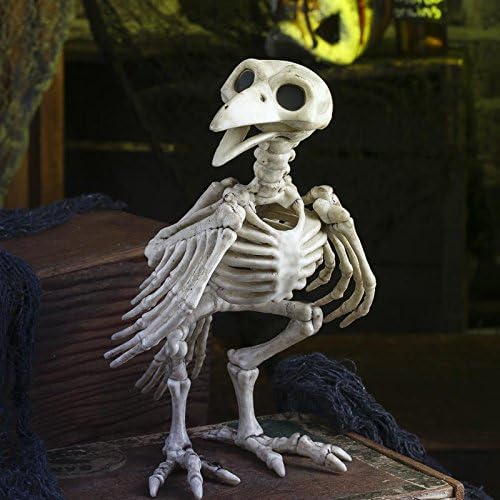 Retail Rehab Halloween Prop Bird Crow Skeleton Decoration
