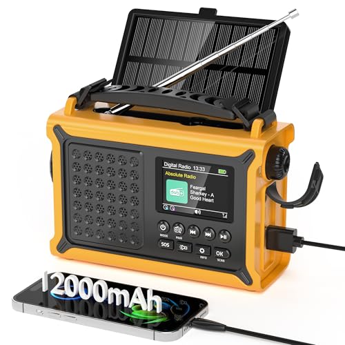 Mesqool DAB/DAB+/UKW Digitalradio mit Bluetooth 5.0, Solar Notfallradio mit Leselicht, 2,4" Farbdisplay, Tragbare Camping Kurbelradio mit USB Handylad