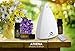 KOKO AROMA Aromatherapy Essential Oil Diffuser Humidifier: Iron Cover Metal infuser 120mL Ultrasonic Mist Maker and Air Difuser with 7 Color LED NightLights and Auto Shut-off for Home Office Bedroom