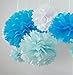 Life Glow 12Pcs Pom Poms of 10