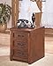 Ashley Furniture Signature Design - Cross Island File Cabinet - 1 Storage Drawer/1 File Drawer - Bronze-Tone Hardware - Medium Brown Finish