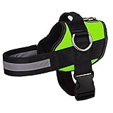 Joyride Basic Essential Dog Harness 1.0