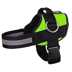Joyride Basic Essential Dog Harness 1.0