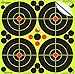 Splatterburst Targets - 6 inch Adhesive Stick & Splatter Reactive Shooting Targets - Gun - Rifle - Pistol - Airsoft - BB Gun - Pellet Gun - Air Rifle (10 Pack)