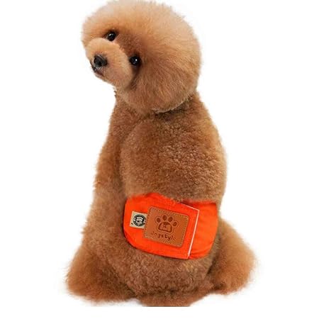 Yangge Yujum Puppy Pet männlichen Hund Fest Physiologische Hosen Wiederverwendbare Sanitary Unterwäsche Bauchband Baumwollwin
