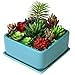 MyGift Modern Turquoise Ceramic Square Indoor Small Planter, Flower Succulent Plant Pot with Drainage Hole and Removable Drip Tray