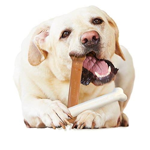 Nylabone Power Chew DuraChew Bone Dog Chew Toy, Twin Pack, Large