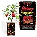 Moruga Scorpion Pepper - Grow Your Own Hottest Pepper in the World! - 2,000,000SHU 3oz/85gr