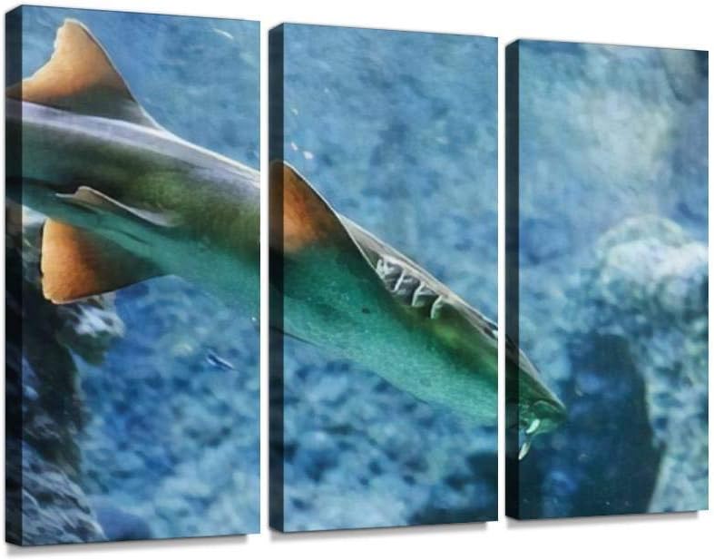Brownbanded Bamboo Shark Chiloscyllium punctatum Behind The Dusty Print On Canvas Wall Artwork Modern Photography Home Decor Unique Pattern Stretched and Framed 3 Piece
