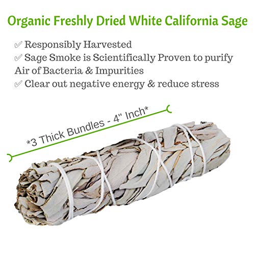 Sage Incense Smudge Sticks 3 Pack & Healing Crystals and Healing Stones Chakra Kit, Spiritual Stones 7 Chakra Diffuser Bracelet (Unisex), Gemstone Oil Roller, Essential Oil Gift Set(Amethyst Quartz)