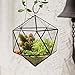 NCYP Hanging Geometric Glass Terrarium, Balcony Windowsill Wall Decor Glass Flower Pot, Modern Large Indoor Garden Tabletop Landscape Icosahedron Planter for Succulents Air Plants (NO Plants)