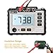 LIUMY Insulation Resistance Tester, 250V ~ 1000V Resistance Meter with Test Lead & Crocodile Clip