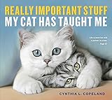 Really Important Stuff My Cat Has Taught Me Really Important Stuff My Cat Has Taught Me