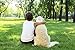 PET RELIEF Boost Dog Immune System, Natural Cough Medicine & Immune Supplements For Dogs,! 30ml Kennel Cough Or Illness, Dog immune Booster, No Side Effects! Made In USA
