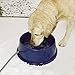 K&H Pet Products Thermal-Bowl Outdoor Heated Dog Bowl Blue 96 Ounces