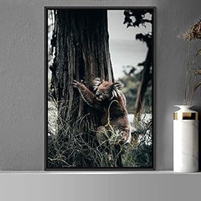 signwin Framed Canvas Wall Art Koala Bear Animals...