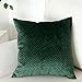 Artcest Set of 2, Decorative Velvet Bed Throw Pillow Case, Sofa Soft Quilted Pattern, Comfortable Couch Cushion Cover, 18