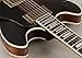 Washburn Hb36k Spruce Flame Maple Vintage Hollowbody Electric Guitar