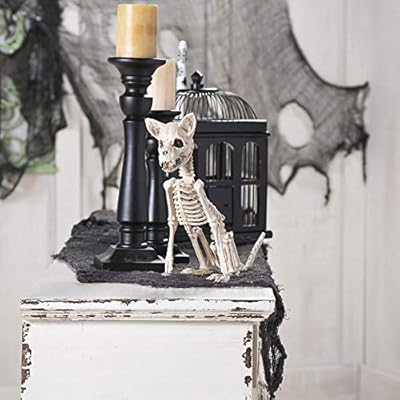 Oriental Trading Company Skeleton Chihua Halloween Decorations