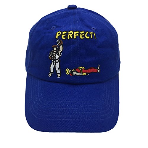 binbin lin Street Fighter Baseball Cap Embroidered Dad Hat Adjustable Snapback Cotton