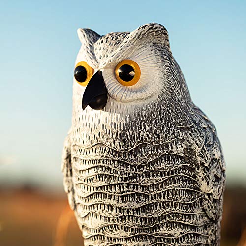 Fake Owl Decoy and Bird Deterrent Set of 3 Plastic Owl to Scare Birds
