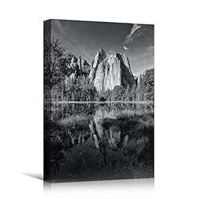 signwin Canvas Wall Art Expressive Landscape Chic Dramatic...