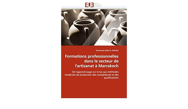 Amazoncom Formations Professionnelles Dans Le Secteur De L