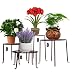 AISHN Metal Plant Stand 4 in 1 Potted Irons Planter Supports Floor Flower Pot Round Rack Display with Scroll Pattern Perfect for Home, Garden, Patio primary