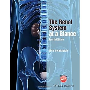 The Renal System at a Glance
