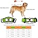 Lifeunion Dog Foreleg and Hind Rear Legs Sling Dog Lift Support Rehabilitation Harness for Elderly, Injured, Disable Pets, Help Stand Up, Up/Down Stairs, Get into Car (XL, Green)