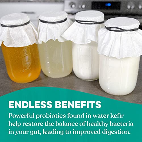 Cultures for Health Kefir Starter Culture 4 Packets Freeze Dried