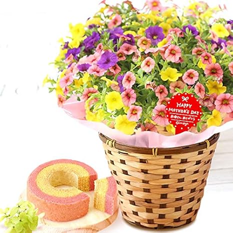 Amazon 母の日 の プレゼント ペチュニア5号鉢 おいもやケーキ洋菓子 花とスイーツ 花鉢 生花 母の日ギフト ペチュニア アンバー 観葉植物 オンライン通販