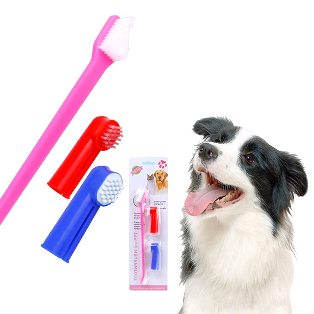 Ranvi Dog Toothbrush Kit, 8-inch Handle and of Super Soft and Rigid Double-Sided Dog Toothbrush，4-Piece Set (4 Double-Sided Brushes + 8-Finger Toothbrush) (Random Color)