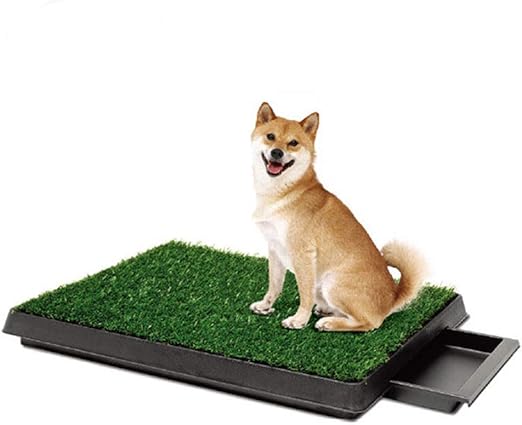 fake grass for puppy training