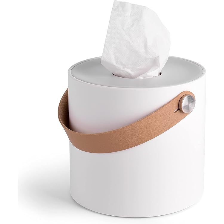Amazon.com: Ai Collection Tissue Case, Tissue Holder, Tissue Box