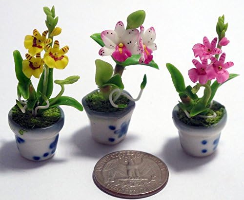 Set 3 Lovely Orchid Plant Flower Dollhouse Miniature Realistic it Very Cute. (3 Pots) ,Home Decoration