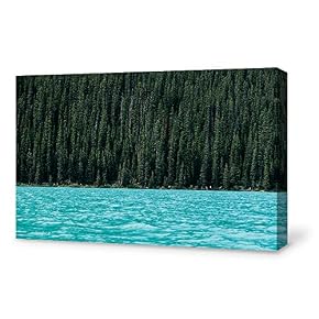 SIGNFORD Canvas Wall Art for Living Room,Bedroom Home...