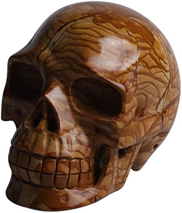 HongJinTian Crystal Natural Petrified Wood Skull 4.13"l 1.93lbs
