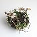 Jili Online 12Pieces Cute Small Artificial Feather Bird Foam Birds Photo Props Home Table Garden Bonsai Decor