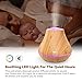 TaoTronics Essential Oil Diffuser, 400ml Wood Grain Aroma Diffuser for Aromatherapy (Noiseless 14 Hours Continuous Mist, PP Build, Diffusers for Essential Oils, Waterless Auto Shut-Off Protection)