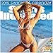 Sports Illustrated Swimsuit Calendar 2019 Set - Deluxe 2019 Sports Illustrated Swimsuit Mini Calendar with Over 100 Calendar Stickers (Gifts, Office Supplies)…