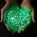 RTGS 30 LEDs Green Color String Lights Silver Wire Indoor and Outdoor 9.5 Feet Firefly Starry Fairy Lights Battery Powered for DIY, Christmas, Holidays, Party, Bedroom and Centerpieces