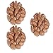 0.5 LBs Bitter Kola Nuts 100% Natural Garcinia Kola Non GMO Herbal Organic African Cola Nut bitter kolanuts (0.5 LBs)
