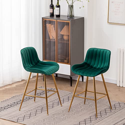 Sidanli Counter Height Bar Stools Set 2 Green
