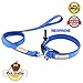 Reflective Dog Collar & Leash by PET GALLO: Padded Reflective 100% Pure Nylon Dog Collar with Reflective Nylon Pipe | Zinc Alloy Clip 7 & X-Crossed Reinforced Double Stitching on Lead |Color Blue (L)