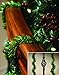 Haute Decor GarlandTies, 20 Pack 14 inches (Noble Fir) Twist Ties with Strong Inner Wire for Securing Garland, Lights, and More!