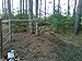 Bayco Finish Line Durable Horse Fence 2000 Foot Roll
