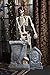 Disney Pirates of the Caribbean Jack Sparrow Full Size Posable Skeleton